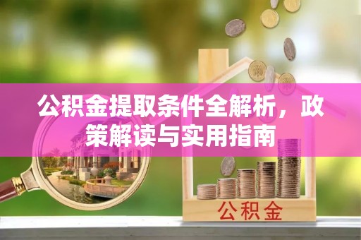美浓公积金提取条件全解析，政策解读与实用指南