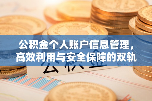 美浓公积金个人账户信息管理，高效利用与安全保障的双轨并行