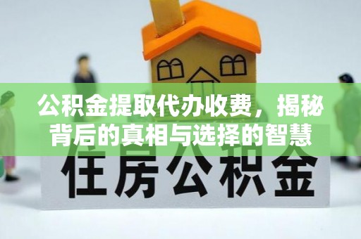 美浓公积金提取代办收费，揭秘背后的真相与选择的智慧