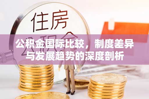 美浓公积金国际比较，制度差异与发展趋势的深度剖析