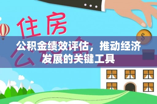 美浓公积金绩效评估，推动经济发展的关键工具