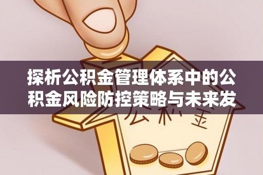 美浓探析公积金管理体系中的公积金风险防控策略与未来发展