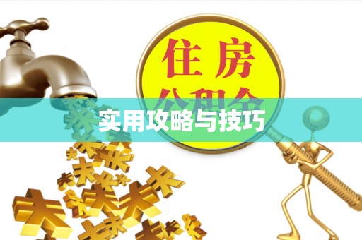美浓实用攻略与技巧