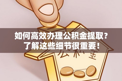 美浓如何高效办理公积金提取？了解这些细节很重要！