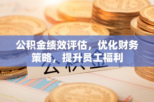 美浓公积金绩效评估，优化财务策略，提升员工福利