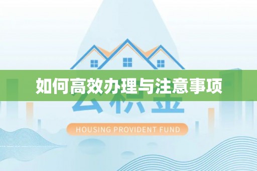 美浓如何高效办理与注意事项