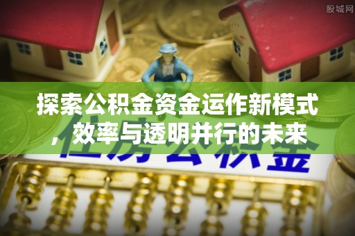 美浓探索公积金资金运作新模式，效率与透明并行的未来