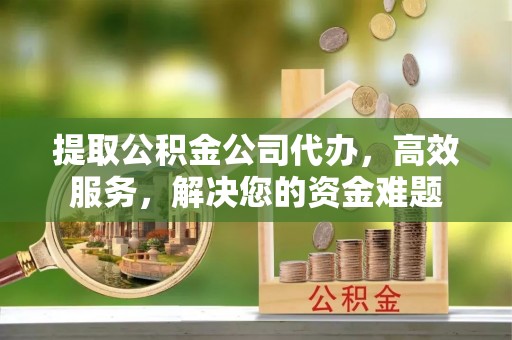 美浓提取公积金公司代办，高效服务，解决您的资金难题