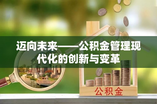 美浓迈向未来——公积金管理现代化的创新与变革