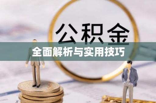 美浓全面解析与实用技巧