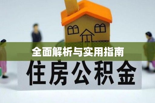 美浓全面解析与实用指南