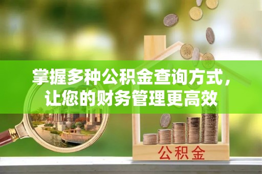 美浓掌握多种公积金查询方式，让您的财务管理更高效