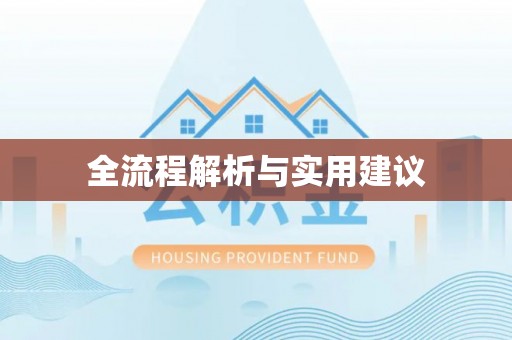 美浓全流程解析与实用建议