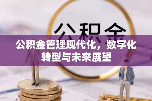 美浓公积金管理现代化，数字化转型与未来展望