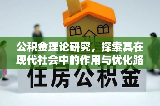 美浓公积金理论研究，探索其在现代社会中的作用与优化路径