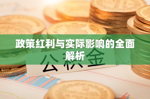 美浓政策红利与实际影响的全面解析