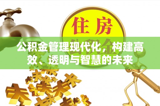 美浓公积金管理现代化，构建高效、透明与智慧的未来