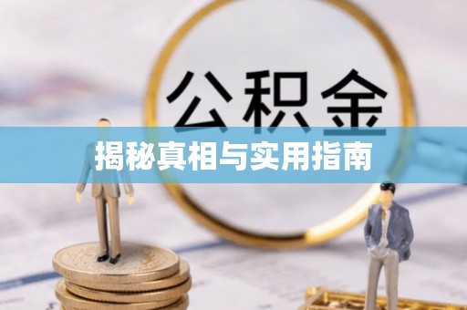 美浓揭秘真相与实用指南