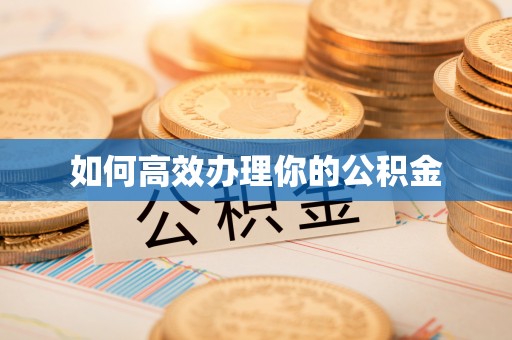 美浓如何高效办理你的公积金