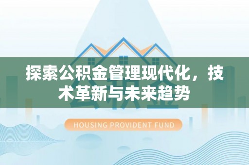 美浓探索公积金管理现代化，技术革新与未来趋势