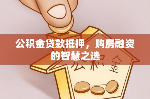美浓公积金贷款抵押，购房融资的智慧之选