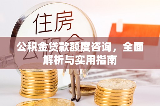 美浓公积金贷款额度咨询，全面解析与实用指南