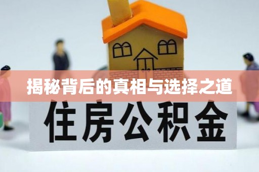 美浓揭秘背后的真相与选择之道