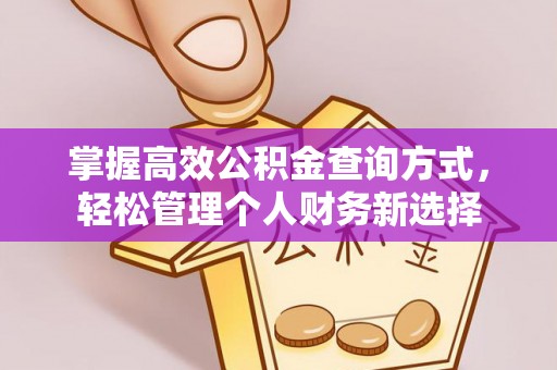 美浓掌握高效公积金查询方式，轻松管理个人财务新选择