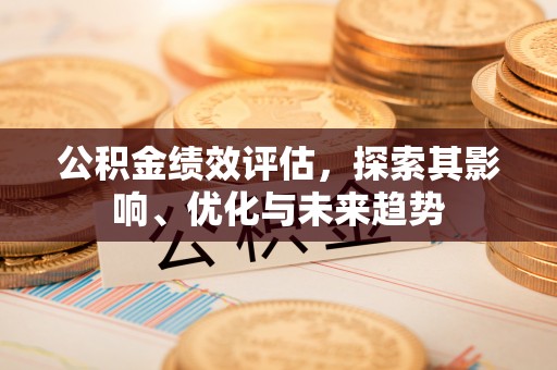 美浓公积金绩效评估，探索其影响、优化与未来趋势