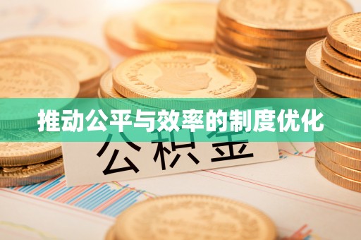 美浓推动公平与效率的制度优化