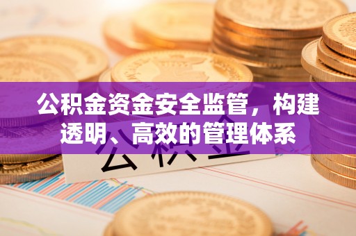 美浓公积金资金安全监管，构建透明、高效的管理体系