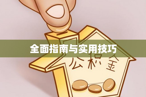 美浓全面指南与实用技巧
