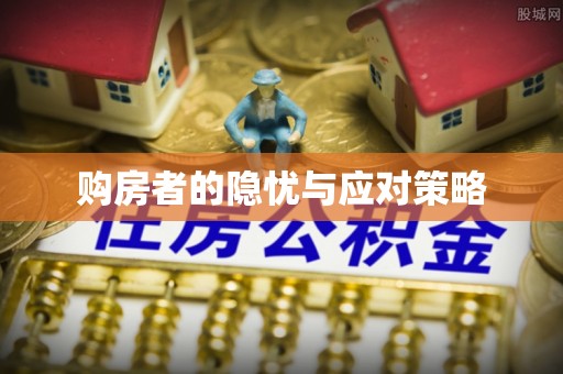 美浓购房者的隐忧与应对策略