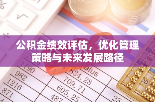 美浓公积金绩效评估，优化管理策略与未来发展路径