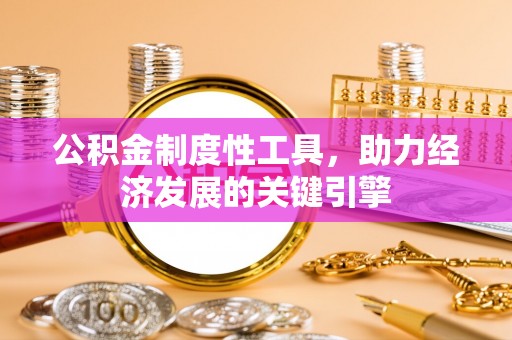美浓公积金制度性工具，助力经济发展的关键引擎