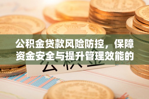 美浓公积金贷款风险防控，保障资金安全与提升管理效能的多维度探索