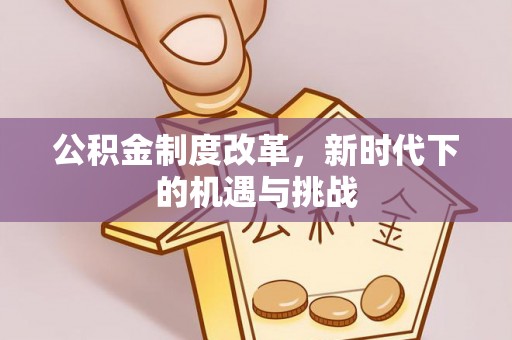 美浓公积金制度改革，新时代下的机遇与挑战