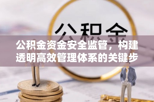 美浓公积金资金安全监管，构建透明高效管理体系的关键步骤