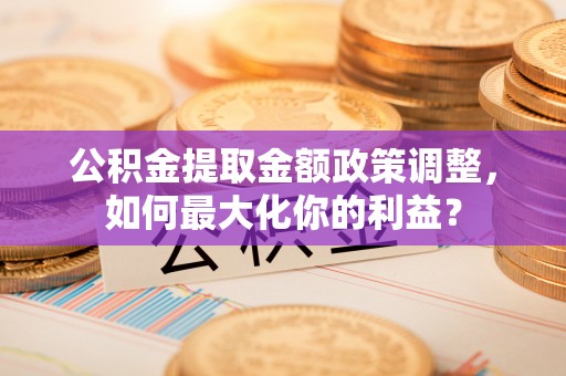 美浓公积金提取金额政策调整，如何最大化你的利益？