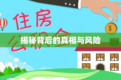 美浓揭秘背后的真相与风险