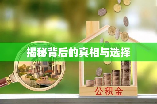 美浓揭秘背后的真相与选择