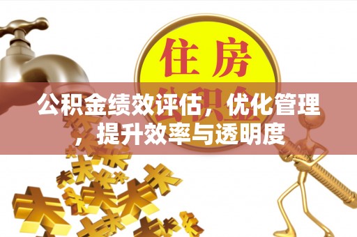 美浓公积金绩效评估，优化管理，提升效率与透明度