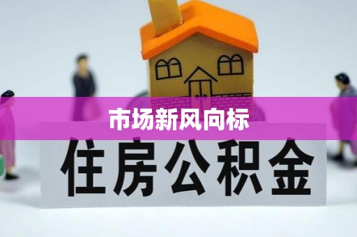 美浓市场新风向标
