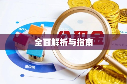 美浓全面解析与指南