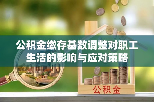 美浓公积金缴存基数调整对职工生活的影响与应对策略