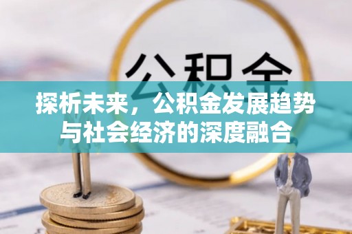 美浓探析未来，公积金发展趋势与社会经济的深度融合