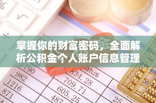 美浓掌握你的财富密码，全面解析公积金个人账户信息管理
