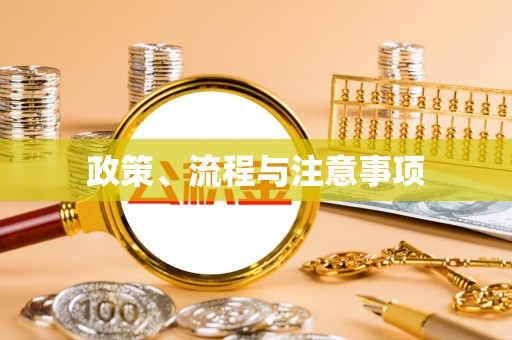 美浓政策、流程与注意事项