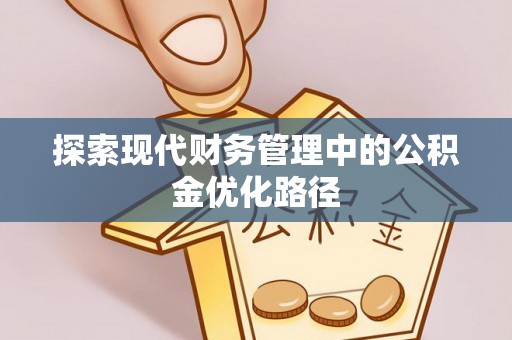 美浓探索现代财务管理中的公积金优化路径