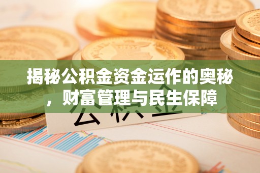 美浓揭秘公积金资金运作的奥秘，财富管理与民生保障